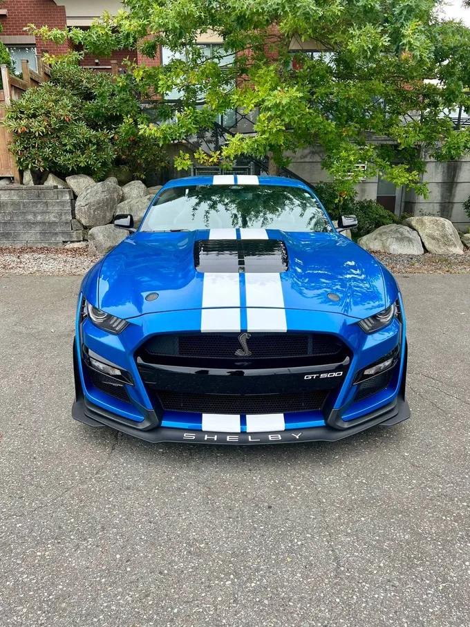 Shelby GT500 detailed by Obsessed Details in White Rock, BC