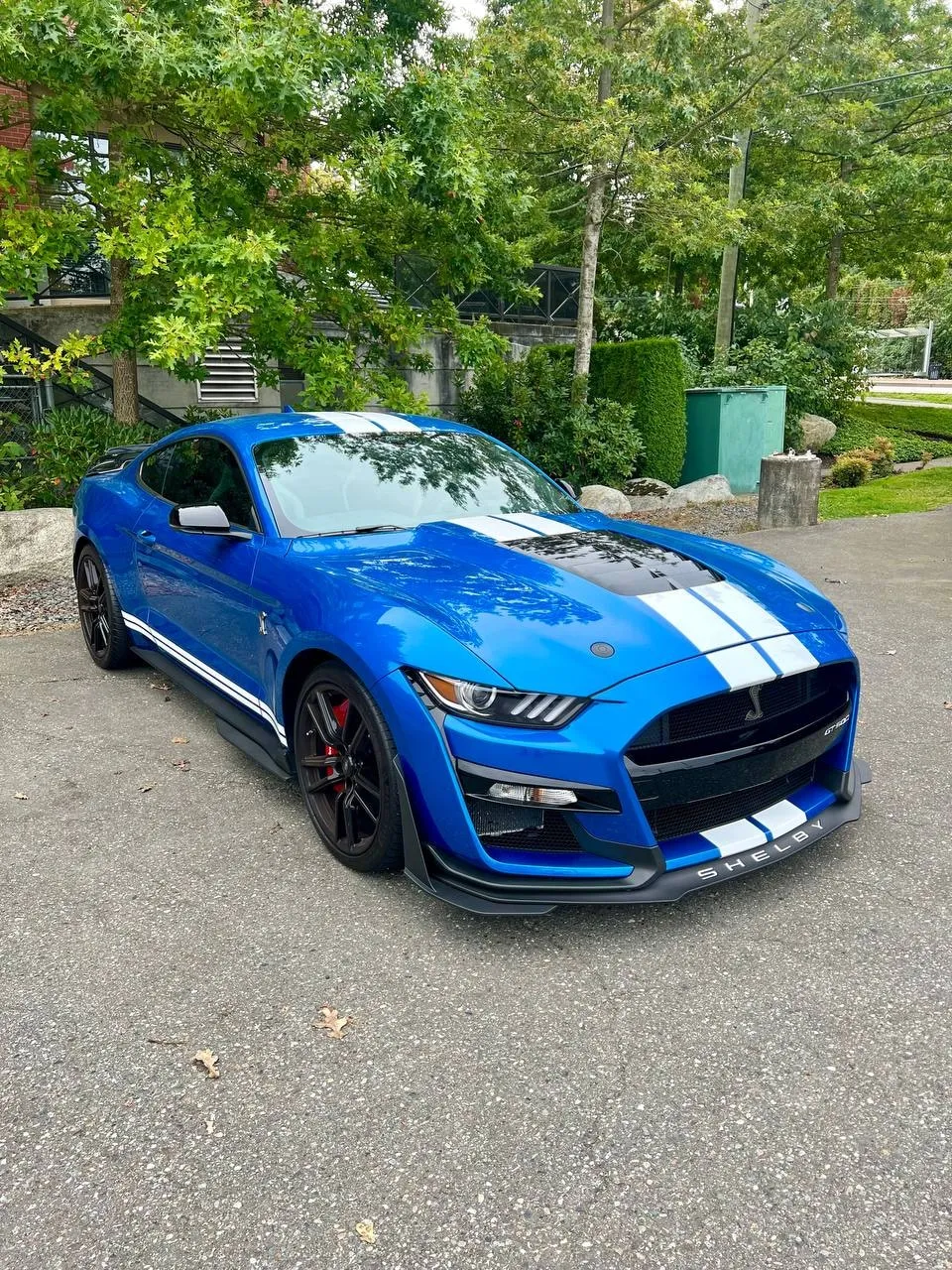 Shelby GT500 detailed by Obsessed Details in White Rock, BC